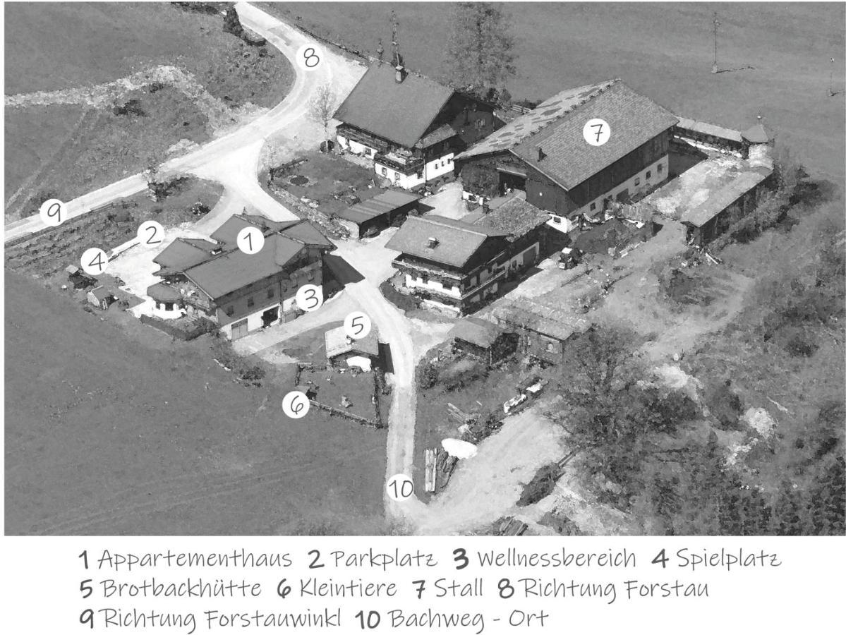 Oeko-Appartements Fallhaus ฟอร์สเทา ภายนอก รูปภาพ
